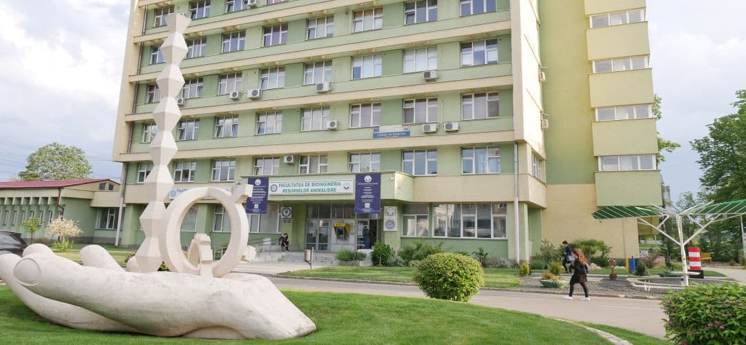 Descoperă oferta diversificată și complexă a Universității de Științele Vieții Regele Mihai I din Timișoara în domenii de viitor.