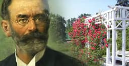  Descoperă Povestea Grădinii de Trandafiri din Timișoara: 96 de Ani de Magie Florală și Farmec Istoric - FOTO