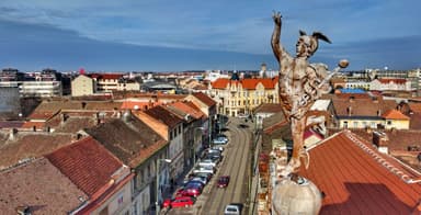  Două Firmă Concurează pentru Proiectul de 29 de Milioane Euro!