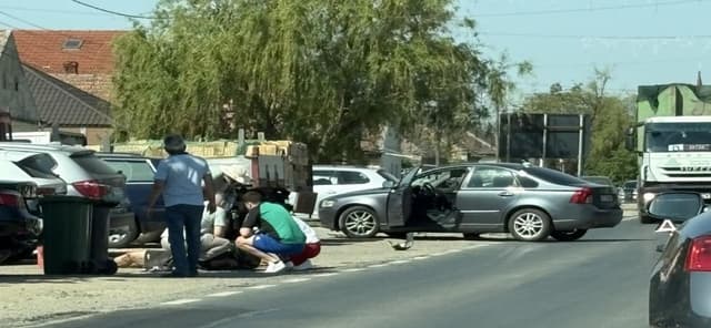  Tânăr motociclist lovit de mașină la Săcălaz, lângă Timișoara! află detalii despre incident și semnificația Zilei Muncii în județ.