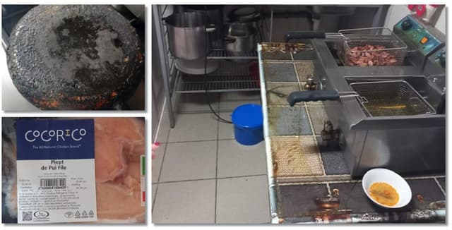  pensiune lângă Timișoara închisă de Protecția Consumatorului. FOTO șocante!