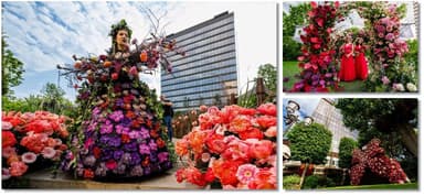  Iulius Gardens se transformă într-un poem vizual cu peste 20 de instalații florale unice la 'Florall – Festivalul Artei Florale' din Timișoara.