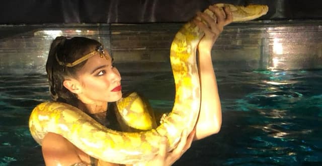 Reptile vii și reconstituiri medievale la Noaptea Muzeelor din Timișoara – Intrare gratuită și expoziții fascinante!