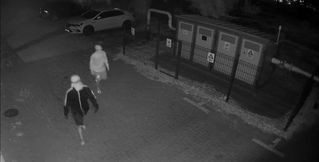 Hoți de mașini prinși de poliție după mai multe nopți de operare lângă Timișoara. Află cum au fost surprinși în flagrant!