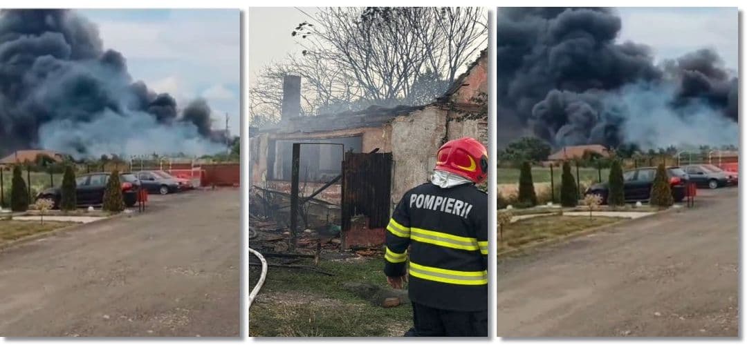Incendiul de vegetație uscată se extinde spre locuințe lângă Timișoara. VIDEO șocant!