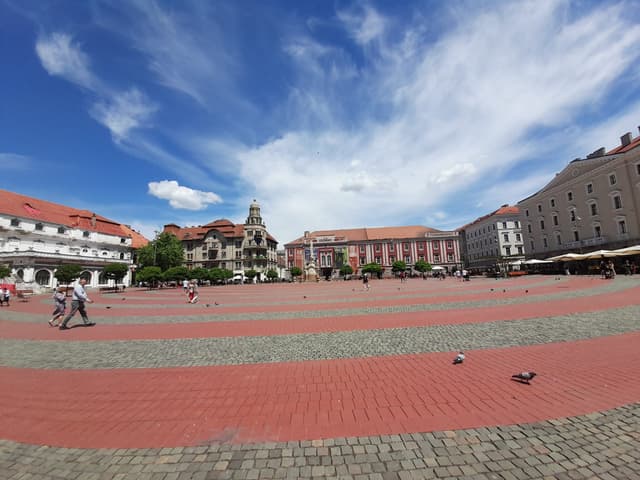  Petreceri, spectacole și proiecții pe 16 mai 2025!