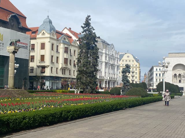  Spectacole de Teatru și Expoziții pe 5 Mai 2025