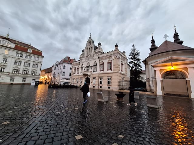 Activități Recomandate în Timișoara pentru 20 Mai 2025: Musical, Recital Cameral și Expoziții Fascinante!