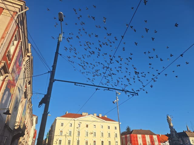 Ce evenimente captivante ne așteaptă în Timișoara sâmbătă, 3 mai 2025? Petreceri, spectacole și ateliere pe gustul fiecăruia!