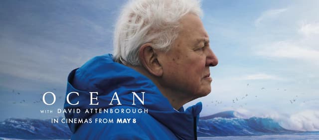  Descoperă Ocean with David Attenborough – O incursiune fascinantă în misterele adâncurilor noastre albastre, ce îmbină spectaculosul cu speranța.