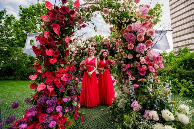  Spectacol floral uimitor la Iulius Gardens: Descoperă 20+ instalații din mii de flori naturale, într-un festival dedicat bucuriei fluturilor