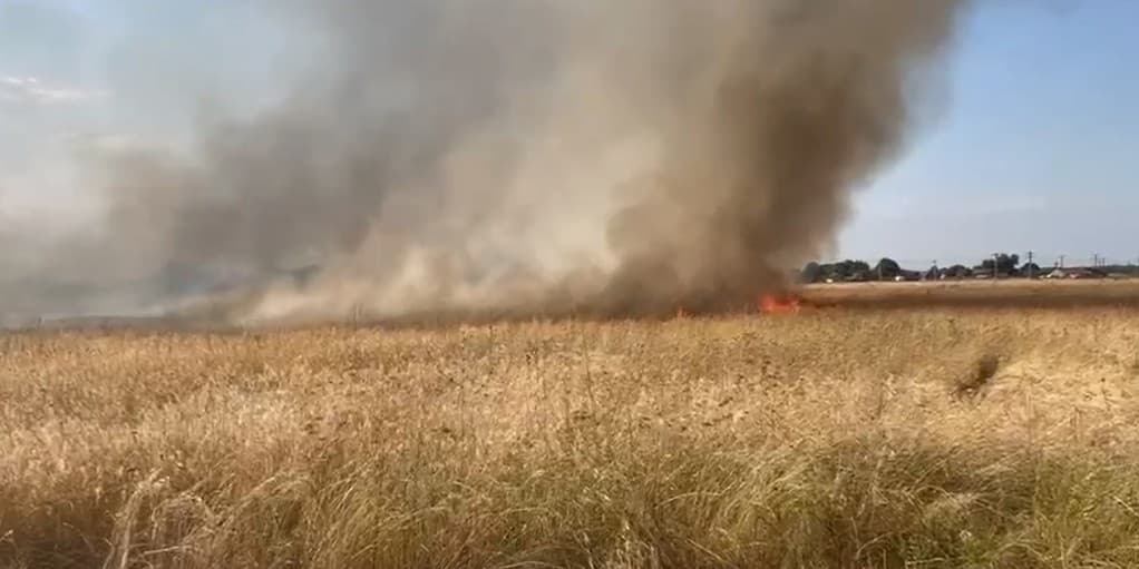 10 hectare de vegetație mistuite la Moșnița Nouă într-un incendiu de proporții vineri după-masa