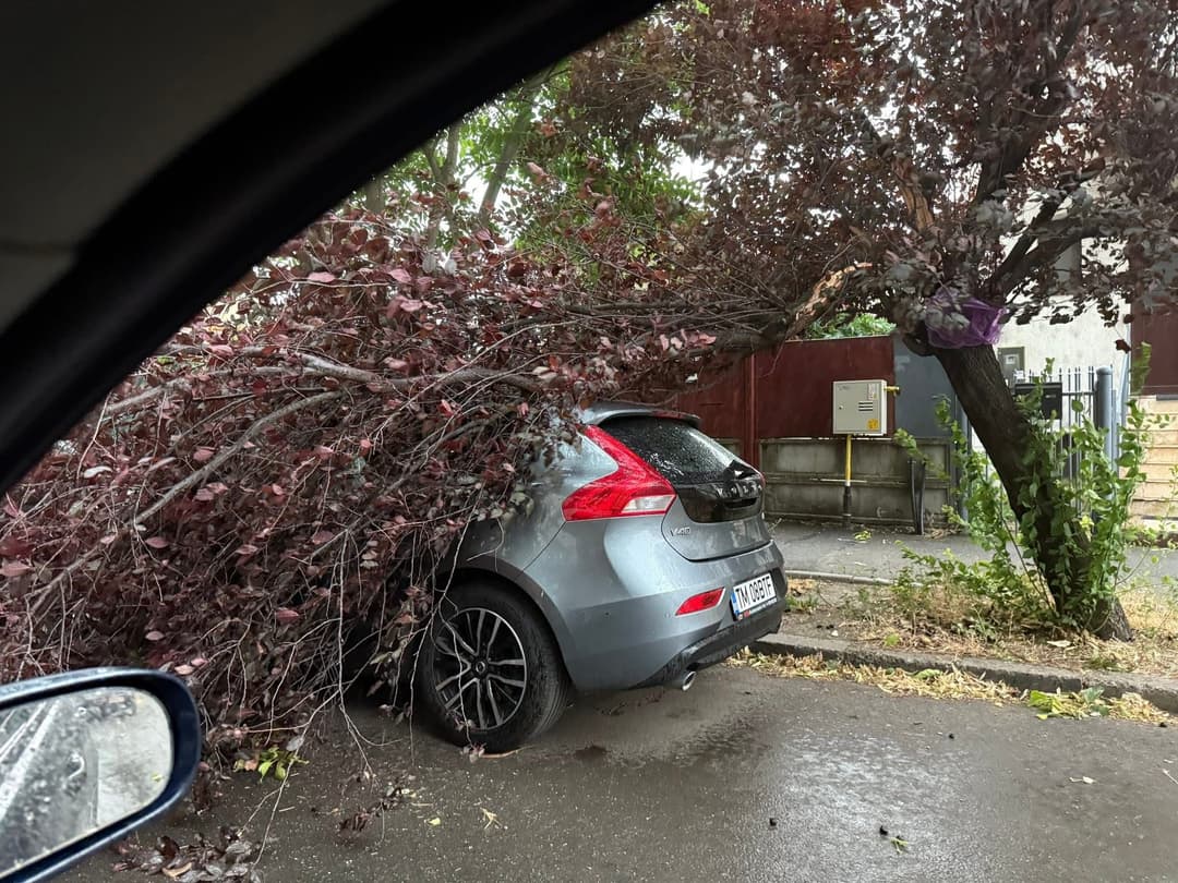 Pompierii din Timiș, în alertă pentru degajarea copacilor și cablurilor prăbușite sub furia vijeliilor cod roșu