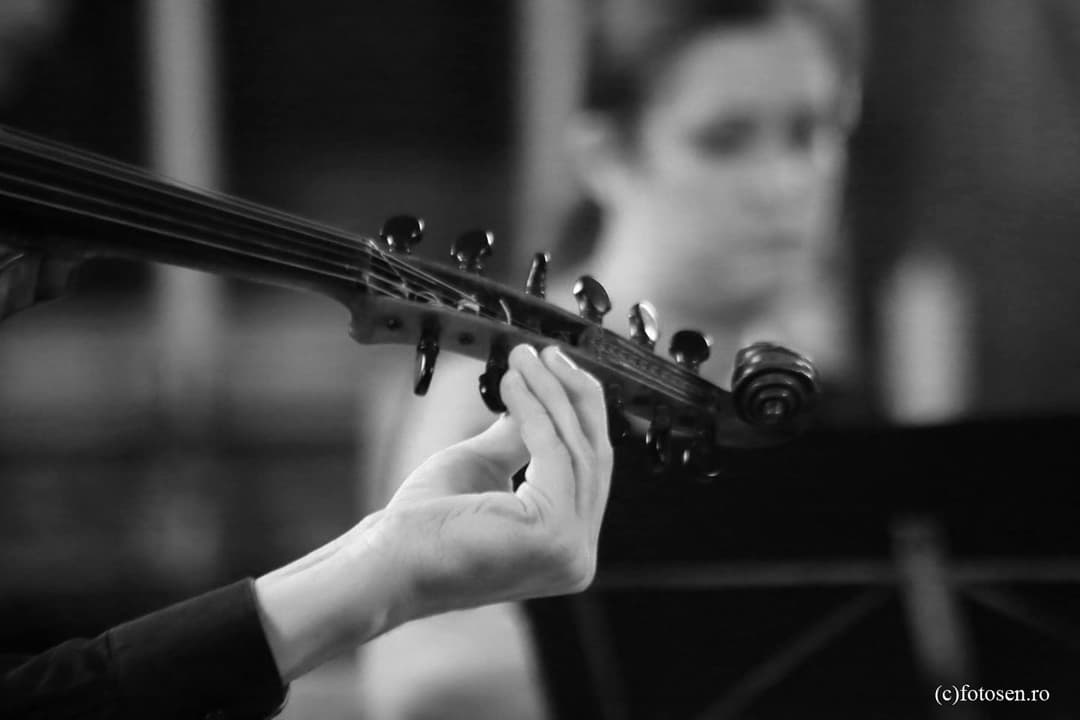 Romanian Chamber Orchestra și șansa de a dirija o lucrare la Festivalul George Enescu din Timișoara