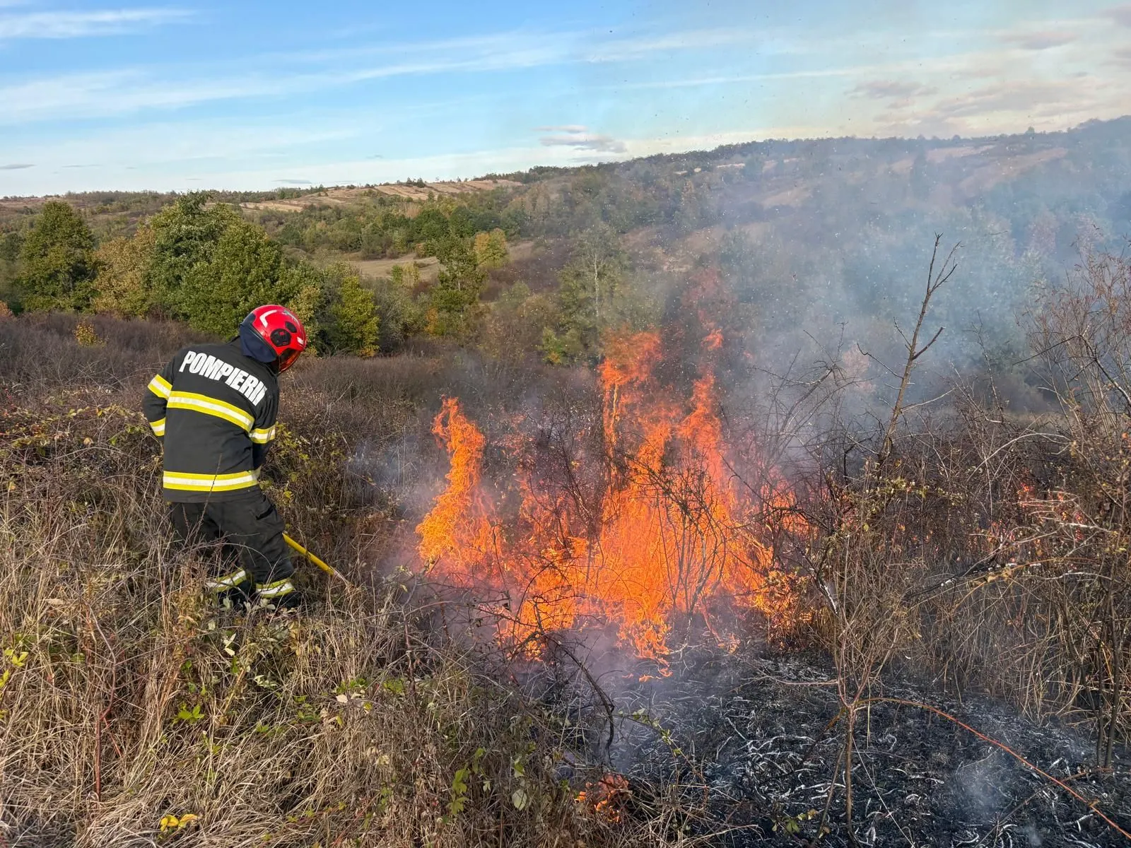 Timiș: peste 50 de hectare arse în cinci incendii de vegetație